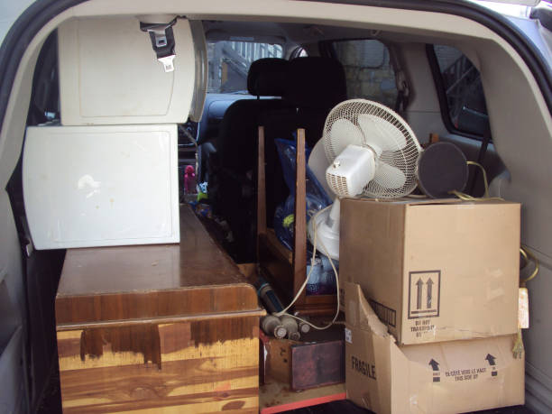 Best Construction Debris Removal  in Janesville, MN